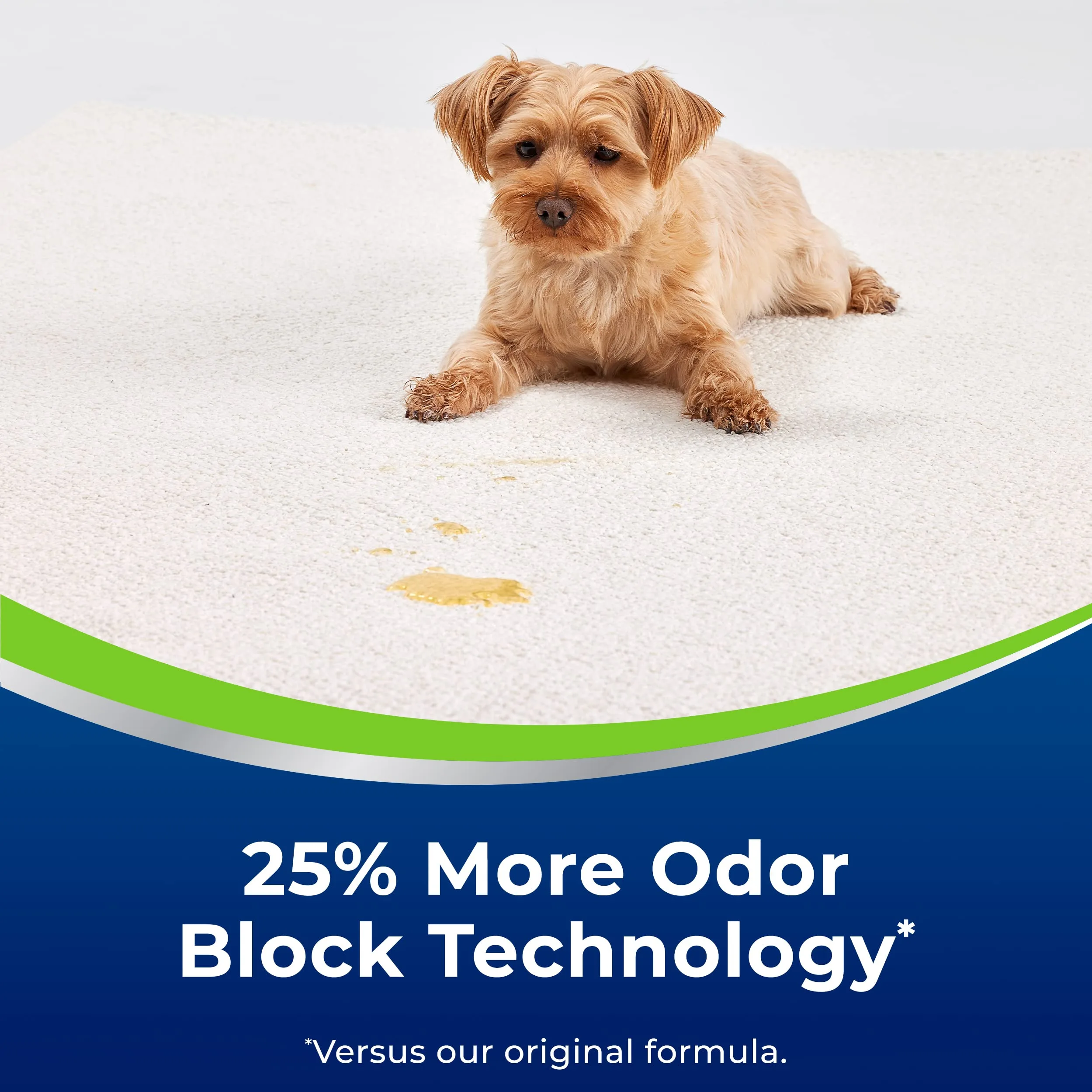 Bissell Woolite Advantage Heavy Traffic Carpet Foam 4 Pack, 3320 product photo, view 13 of 15