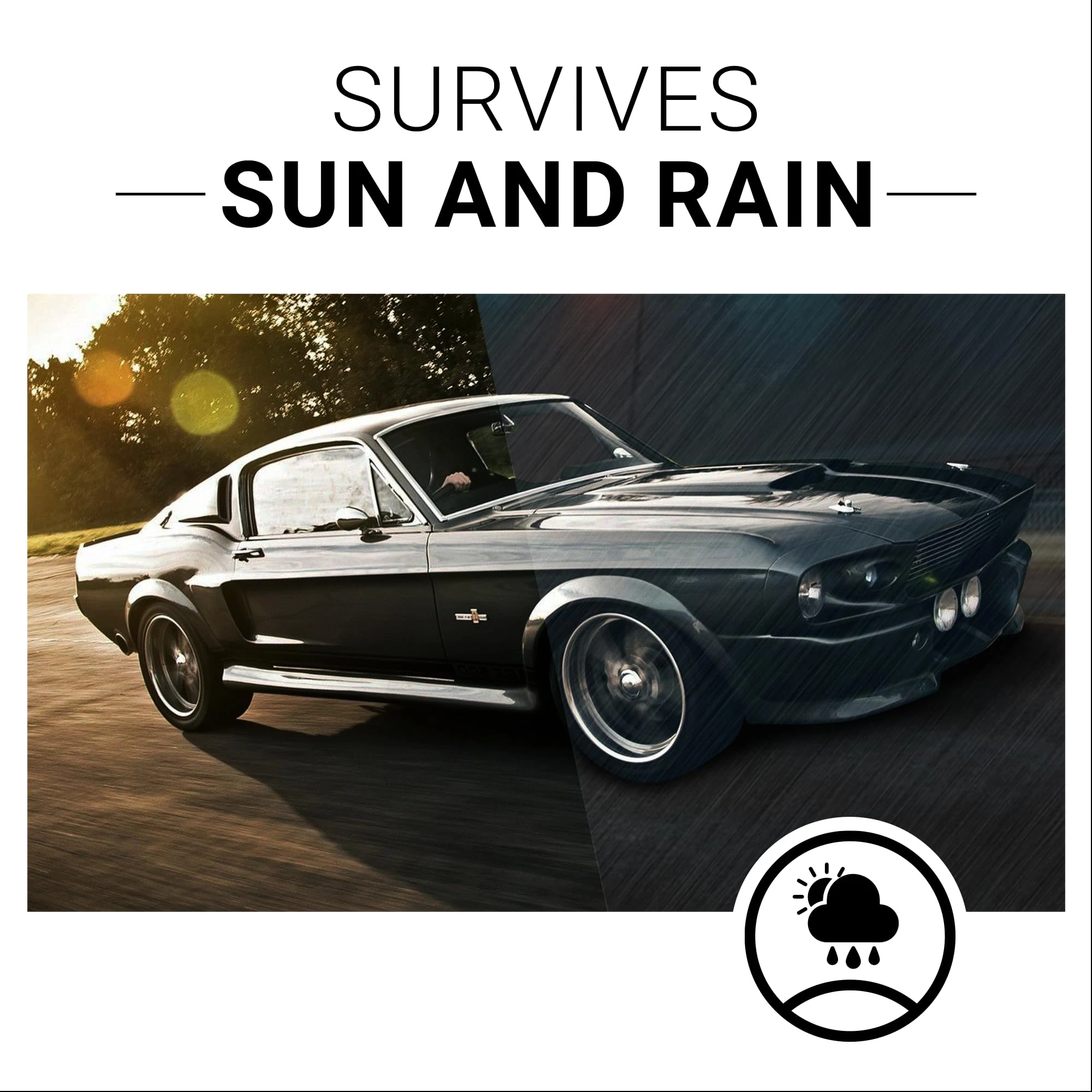 CarGuys Plastic Restorer product photo, view 7 of 7