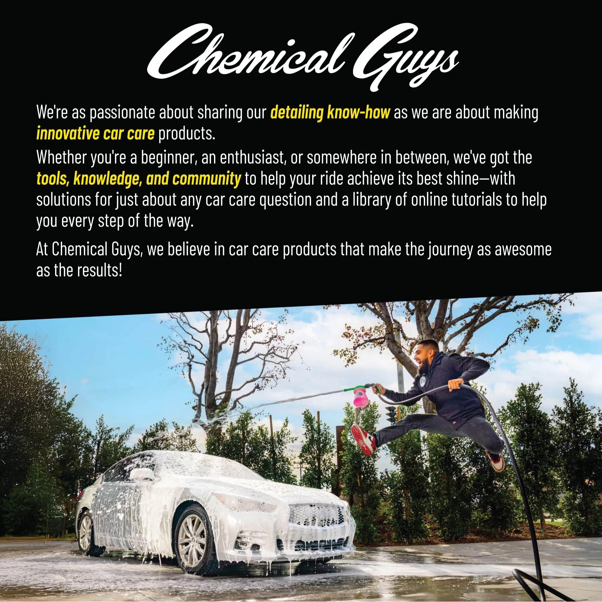 Chemical Guys Bug & Tar Remover, Fast-Acting Pre-Wash for Paint, 16 oz product photo, view 7 of 7